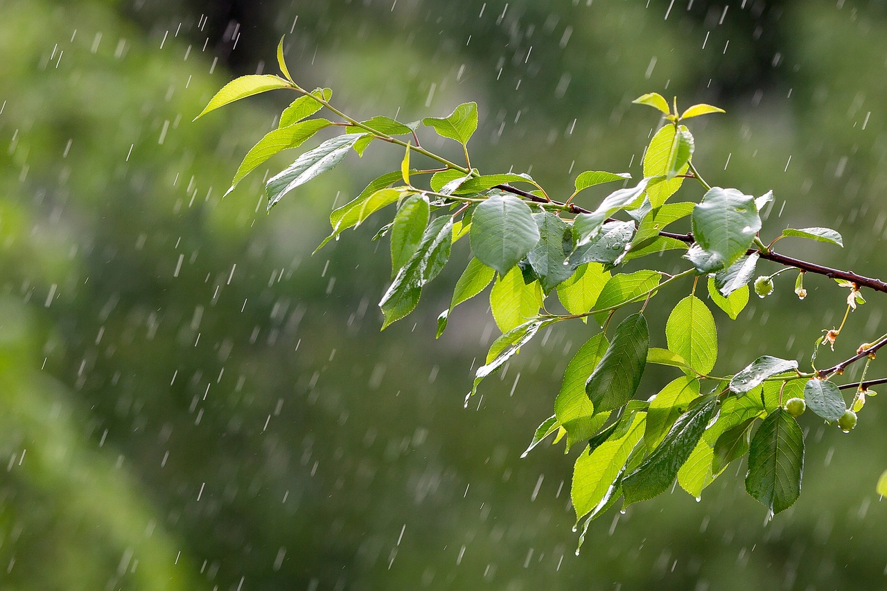 全国多地迎来降雨天气，影响与应对之策