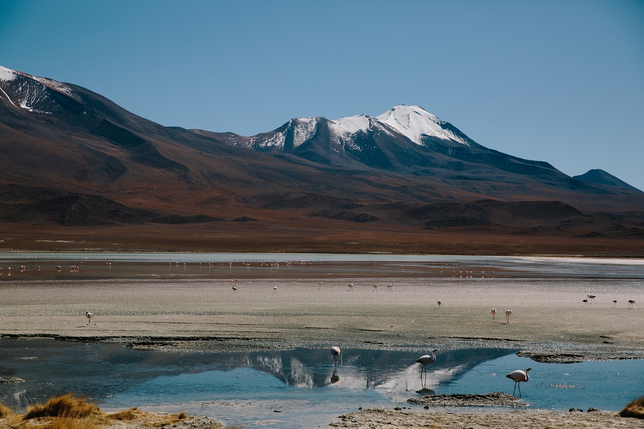 星越L与星越L，探索与超越的双向旅程