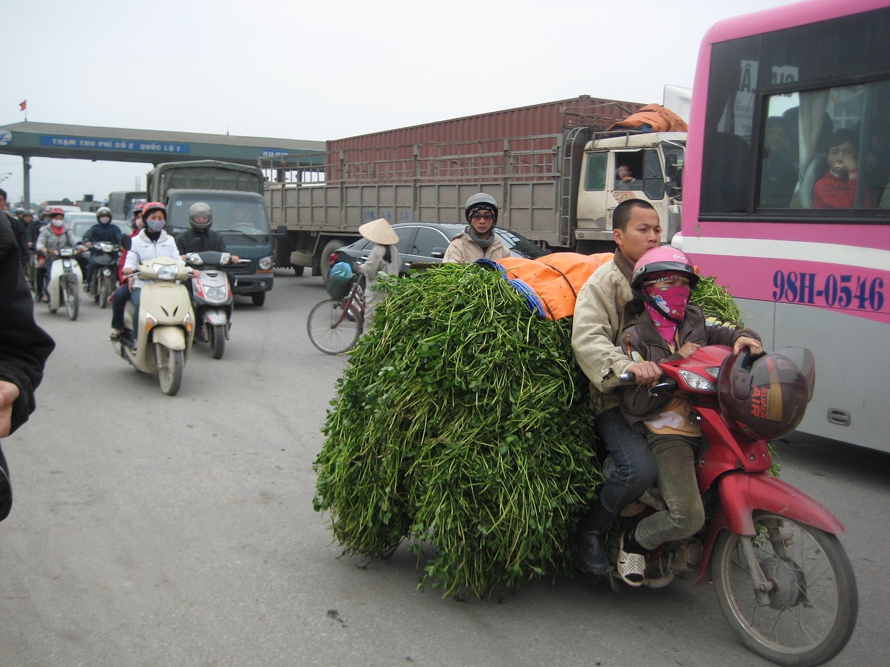 开车下班路上被野猪撞了，算我全责吗？