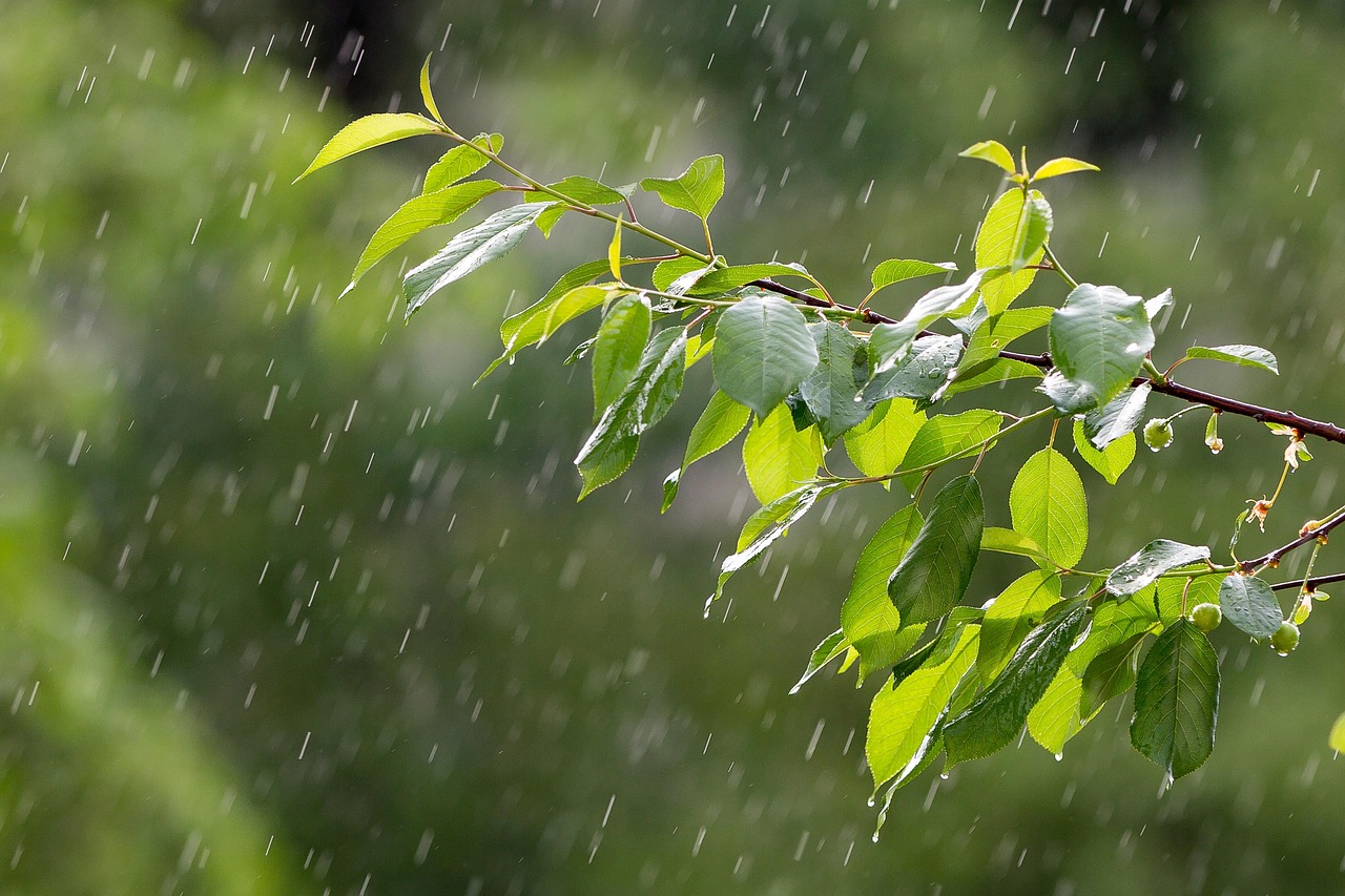 北方地区有大风降温天气  今明两天南方地区有小到中雨