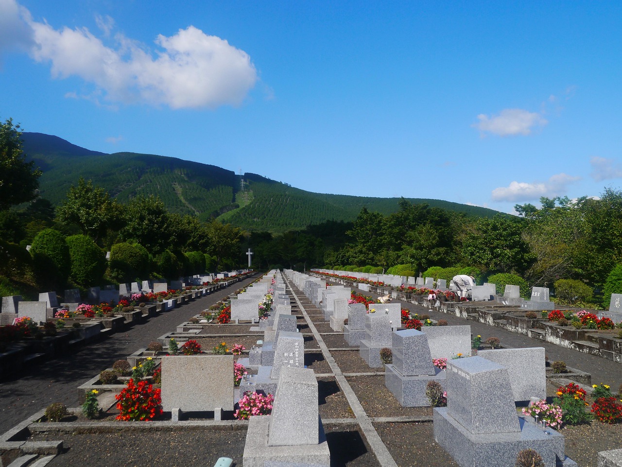 尼日尔一清真寺发生恐怖袭击至少44人死亡